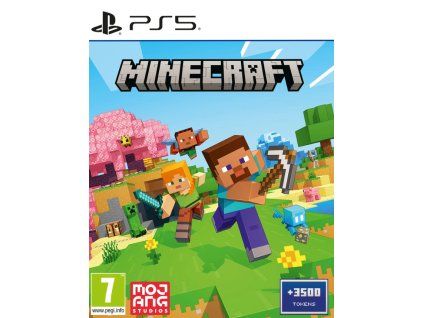 PS5 Minecraft