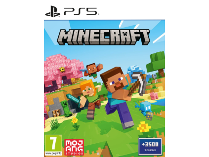 PS5 Minecraft